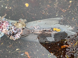 20191217-0944.jpg