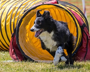 20180616-1153.jpg