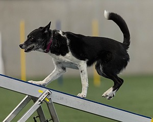 Wynnie Allen