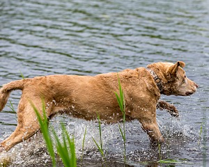 20170603-SHRW-1310.jpg