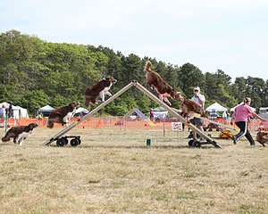 20150614-CCKCMC-0013.jpg