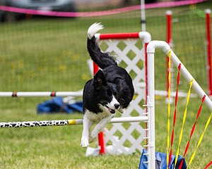 20160515-NEAT-1330.jpg