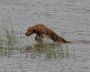 20080531-HRW-0239.jpg