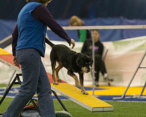 20150321-LEAP-1422.jpg