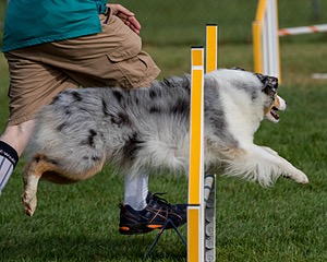 20200819-0164.jpg
