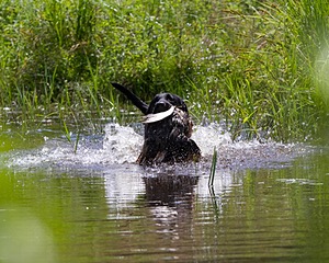 20130714-MHB2-0112.jpg