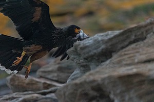 20191210-0008.jpg