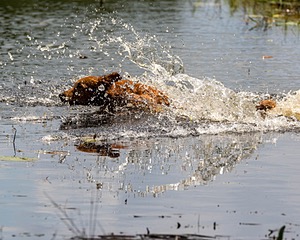 20200809-SHW-0075.jpg