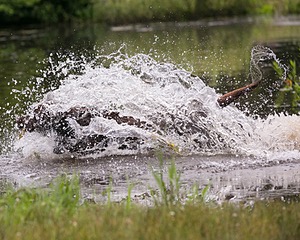 20130713-MHB2-0363.jpg