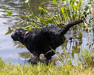 20190803-JHW-0018.jpg