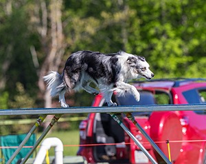 20170520-NEAT-0098.jpg