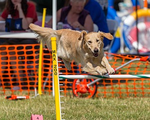 20180617-1647.jpg