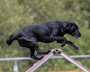 20200819-2371.jpg
