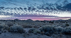 New Mexico