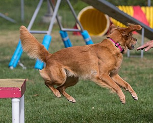 20200819-0517.jpg