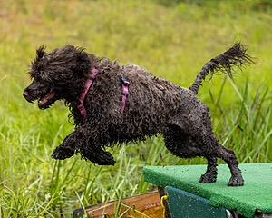 20220911-JWD-0033.jpg