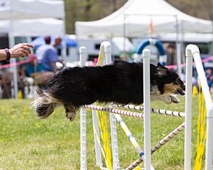 20160514-NEAT-0692.jpg