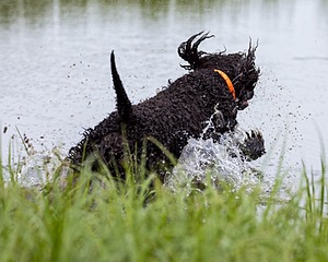 Ghillie Kezer