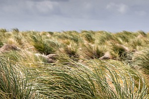 20191216-0165.jpg