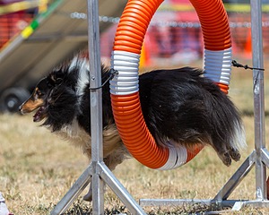 20160619-CCKC-1217.jpg