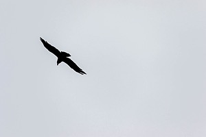 20191206-0038.jpg