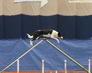 20150321-LEAP-1017.jpg