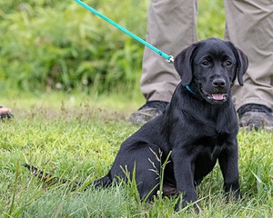 20180804-C-0009.jpg