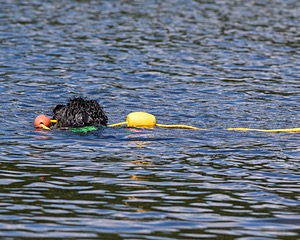 20170820-CWD-0076.jpg