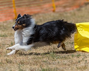 20160619-CCKC-1278.jpg