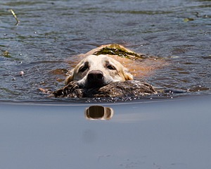 20130714-MHB2-0034.jpg