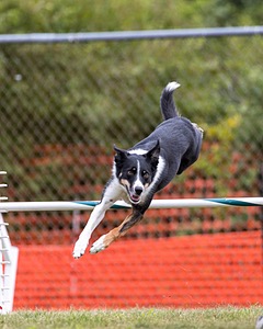 20200819-1477.jpg