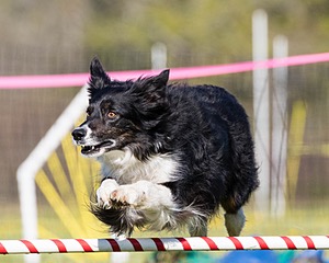 20160514-NEAT-0109.jpg