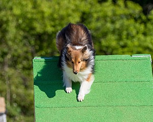 Pixel Witting