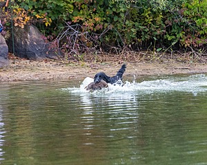 20161008-WCW-0024.jpg