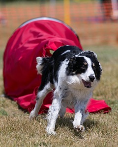 20150613-CCKC-0144.jpg