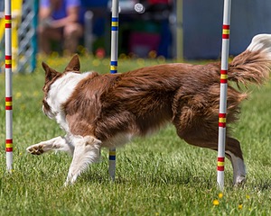 20170520-NEAT-1625.jpg