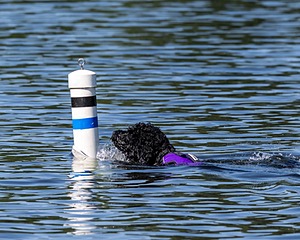Amelia Ash