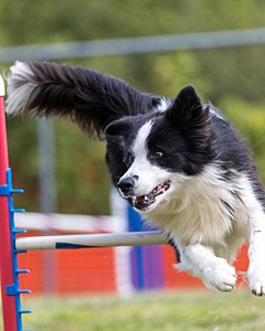20200819-1276.jpg