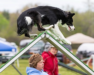 20160515-NEAT-0385.jpg
