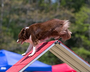 20150613-CCKC-0445.jpg