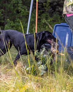 Ziva Jefferson