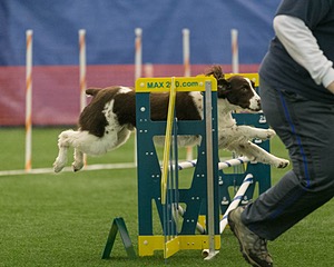 20150321-LEAP-1430.jpg