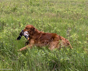 20240523-WCL-0004.jpg