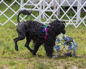 "Mistral" & Tobi-Ann