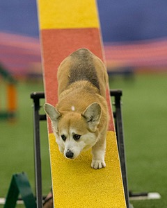 20150321-LEAP-1800.jpg