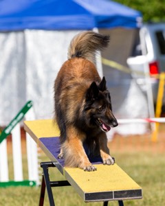 Kira Kalita