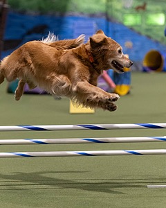 20260221-0708.jpg