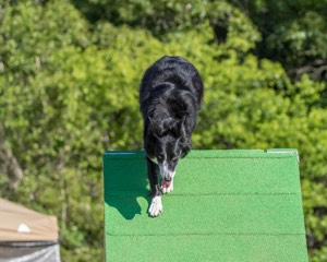 20160619-CCKC-0086.jpg