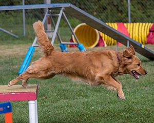 20200819-0401.jpg