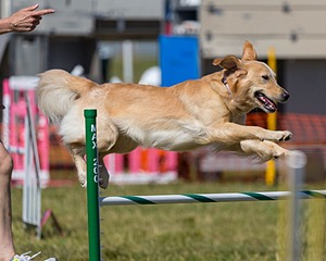 20180617-1651.jpg